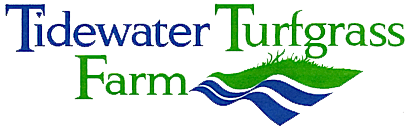 Tidewater Turfgrass